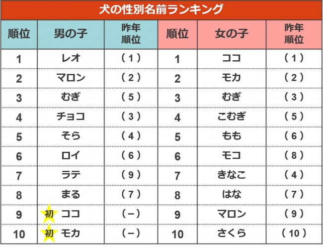 最新 ペットの名前ランキング 発表 犬 猫共に同じ名前が1位を獲得 22年5月18日 ライフ クランクイン トレンド