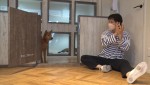 『嗚呼!!みんなの動物園』で保護犬と過ごす浜口京子