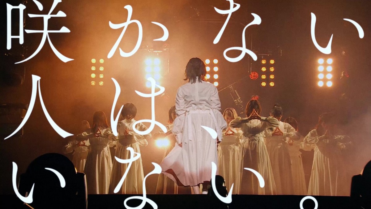 櫻坂46、新メンバーオーディション開催　きょう正午よりエントリースタート