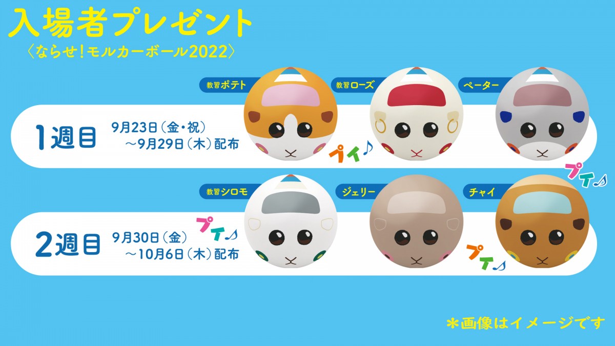 『ならせ！PUI PUI モルカー + DRIVING SCHOOL 予習編』公開決定　ポスター＆予告解禁