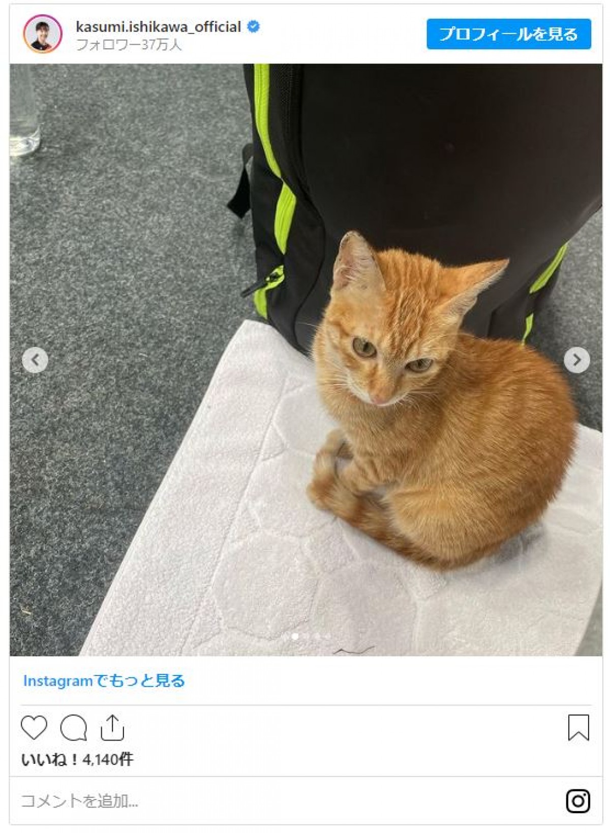 石川佳純、卓球会場に“珍しいお客さん”「実家で飼っていたので、とても懐かしく嬉しかった」