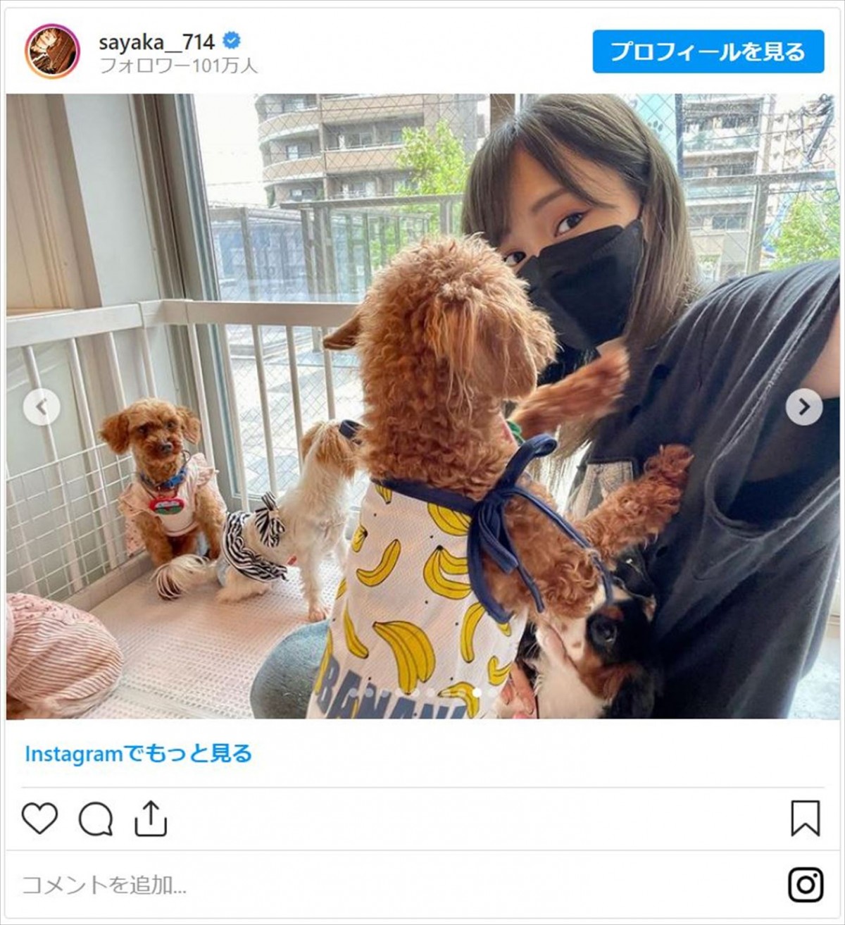 山本彩、“保護犬・猫カフェ”へ「小さくても出来ることは確実にある」