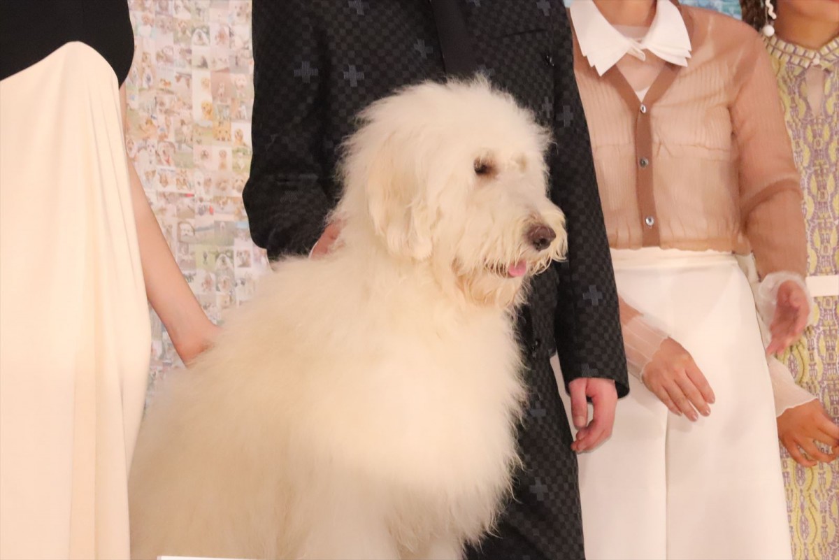 田中圭、俳優犬・ベックの演技に「ズキュンでした」私生活で最近癒された存在も告白