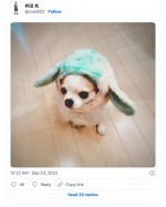元妻・神田沙也加さんの愛犬の画像を披露　※「村田充」ツイッター