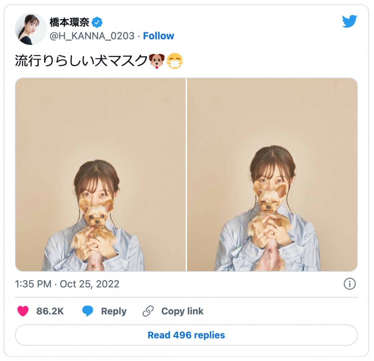 橋本環奈がキュートな“犬マスク”を披露　※「橋本環奈」ツイッター