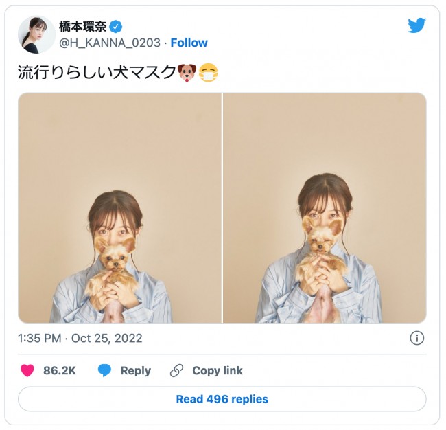 橋本環奈がキュートな“犬マスク”を披露　※「橋本環奈」ツイッター