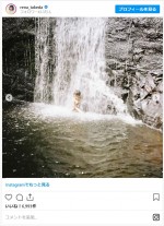 滝に打たれる武田玲奈 ※「武田玲奈」インスタグラム