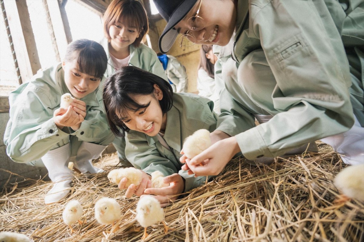 “女子高生×畜産”の青春映画誕生！　池田朱那主演『17歳は止まらない』、2023年夏公開
