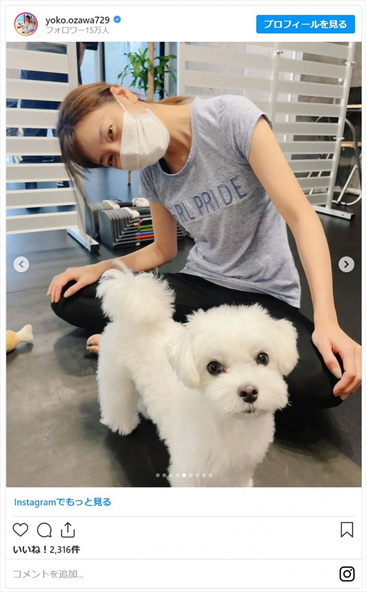 小澤陽子アナ、愛犬で“加重”のトレーニング姿にファン「楽しそう」「カワイイトレーナーさんですね」