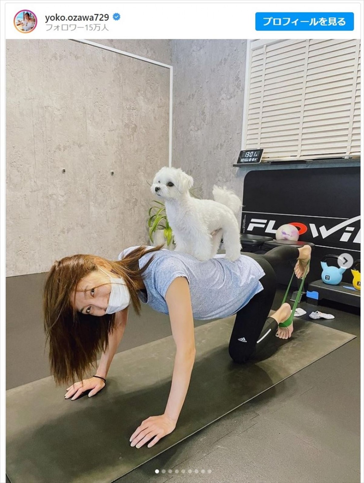 小澤陽子アナ、愛犬で“加重”のトレーニング姿にファン「楽しそう」「カワイイトレーナーさんですね」