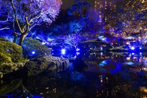 東京・八芳園が神秘的な“青”一色に！　冬の特別ライトアップイベント開催へ