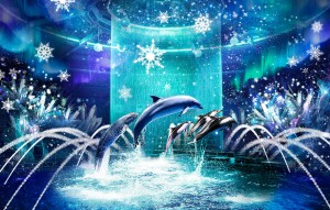221220_NAKED SNOW AQUARIUM