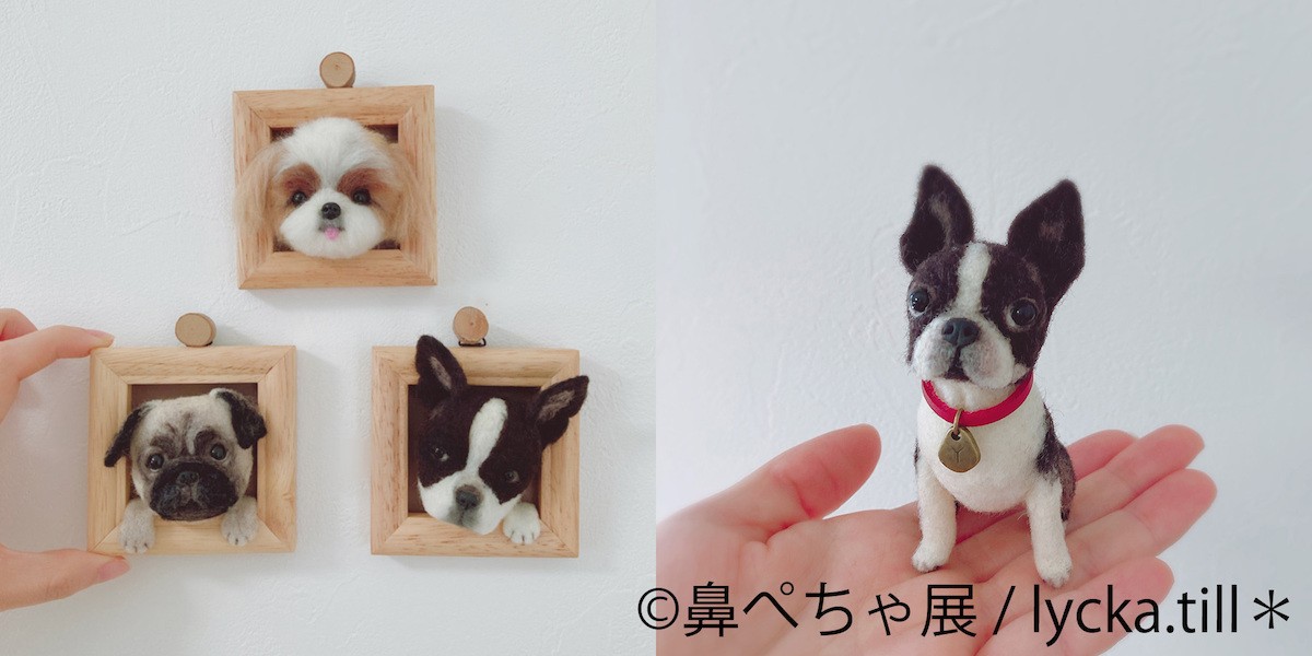 221222_鼻ぺちゃ展