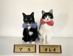 『BSキャッ東 2023』ネコ社長を務めるマルくんとオレオちゃん