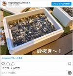 杉浦太陽＆辻希美、“春のプチ家族旅行”を報告　※「杉浦太陽」インスタグラム