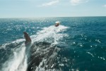 映画『ブラック・デーモン　絶体絶命』場面写真