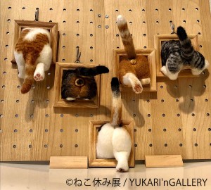 230523_ねこ休み展