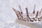 【コラム】新生King ＆ Princeはどう変化する？　新たなファン層を獲得するであろう“れんかい”への期待