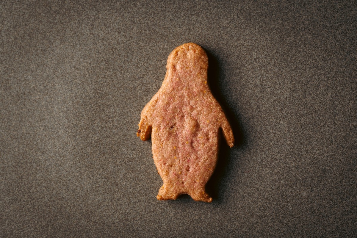 230619_Suicaのペンギン大人のクッキー