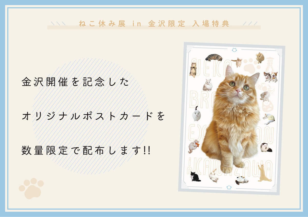230706_ねこ休み展金沢