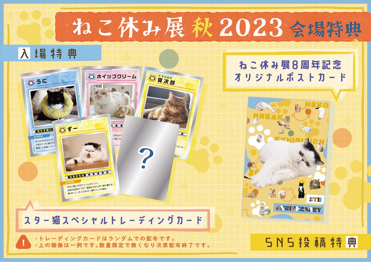 230831_ねこ休み展