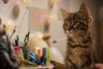 映画『ルー、パリで生まれた猫』場面写真