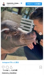 前園真聖、愛豚“セブンくん”との思い出ショット　※「前園真聖」インスタグラム