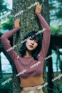 櫻坂46土生瑞穂1st PhotoBook『Destination』セブンネットショッピング特典B3ポスター（折り目なし）