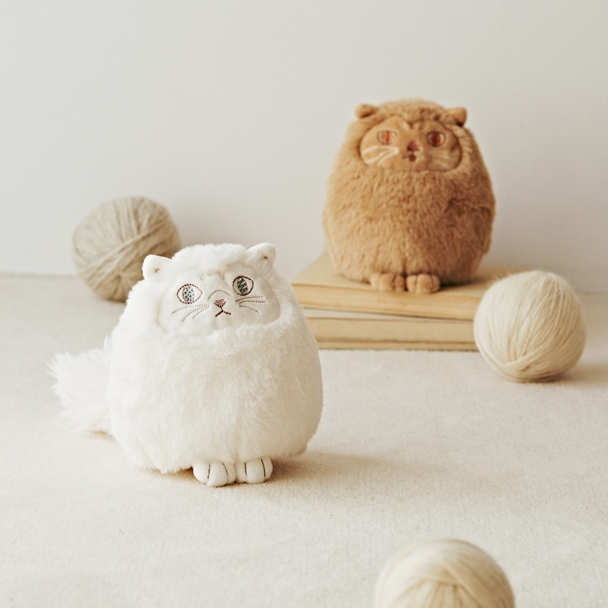 20231004「Cat’s NapTime produced by Cat’s ISSUE」