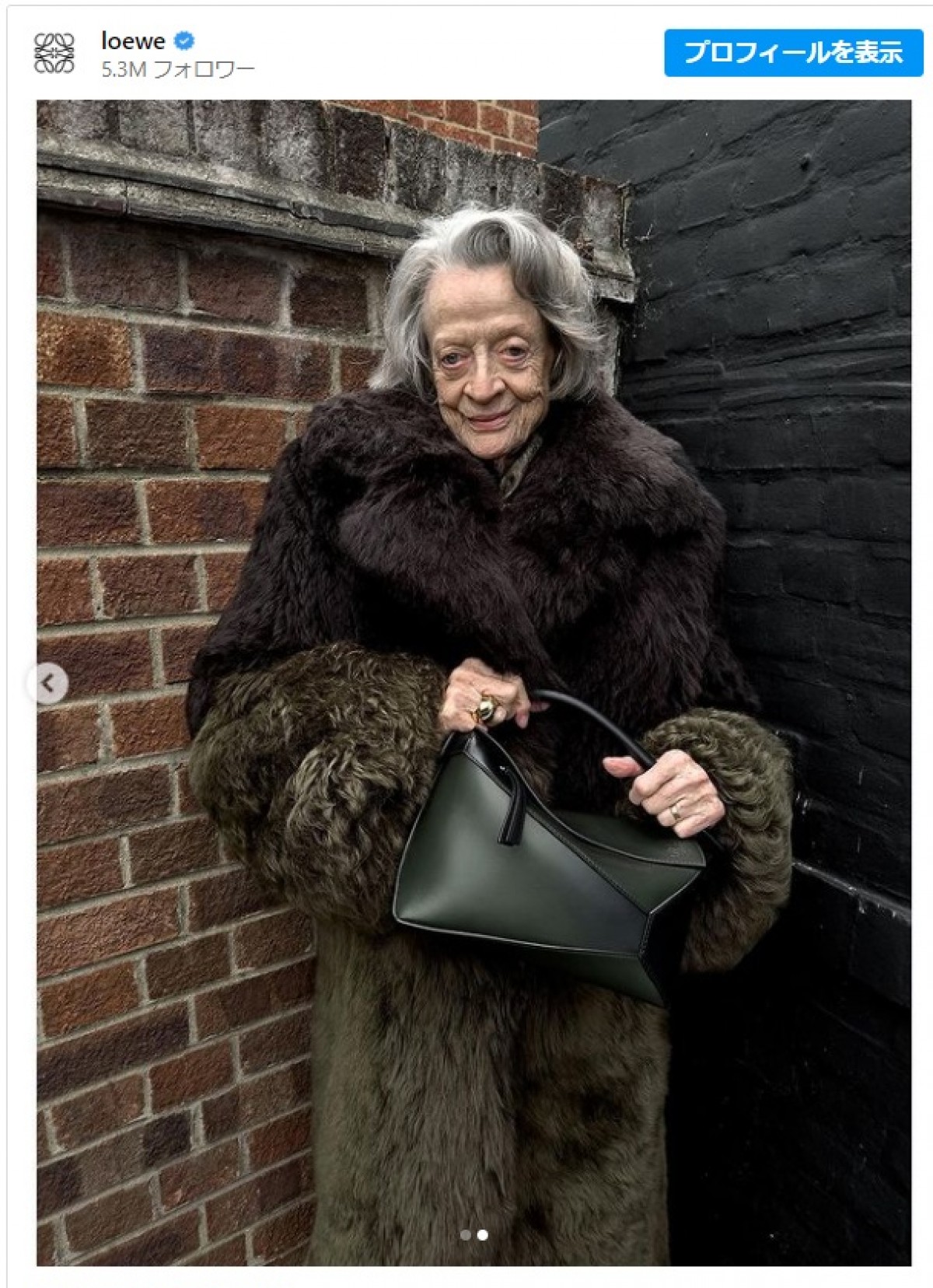 『ハリポタ』マクゴナガル先生マギー・スミス、ロエベの顔へ　※「LOEWE」インスタグラム
