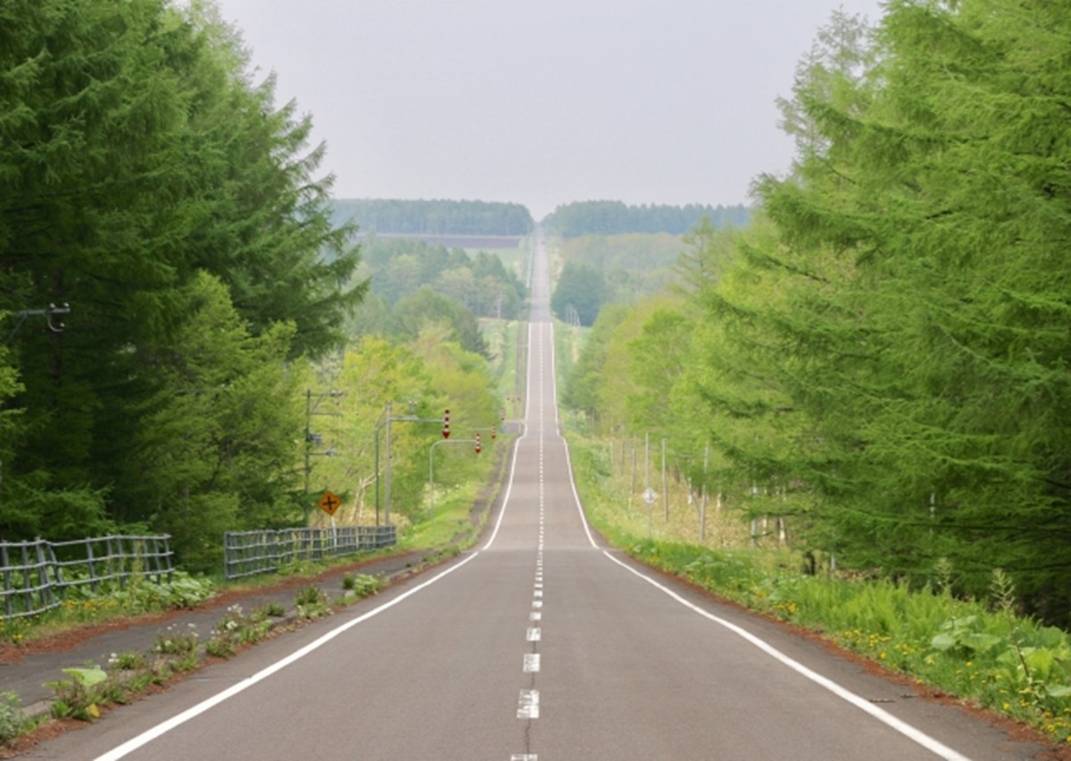 20231221「走りたい道路ランキング 東日本編」