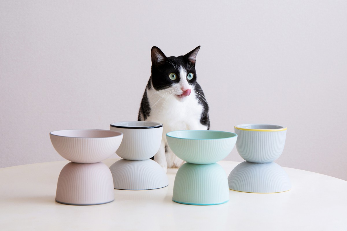 20230220tetetoteオリジナル 猫のフードボウル