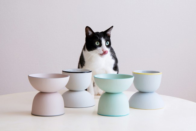 “猫のためのフードボウル”登場へ！　成長に合わせて使い分けられるデザイン