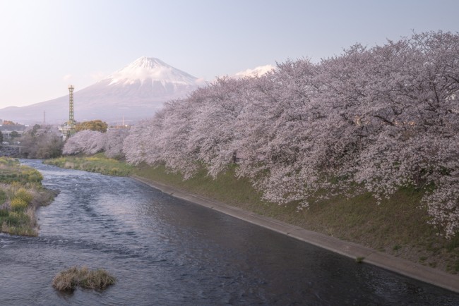 「この春旅行に行きたい都道府県ランキング」発表！　2位の沖縄を抑えた1位は？