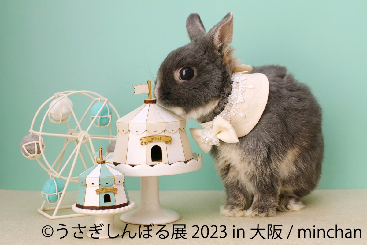 大阪「うさぎしんぼる展 2023」