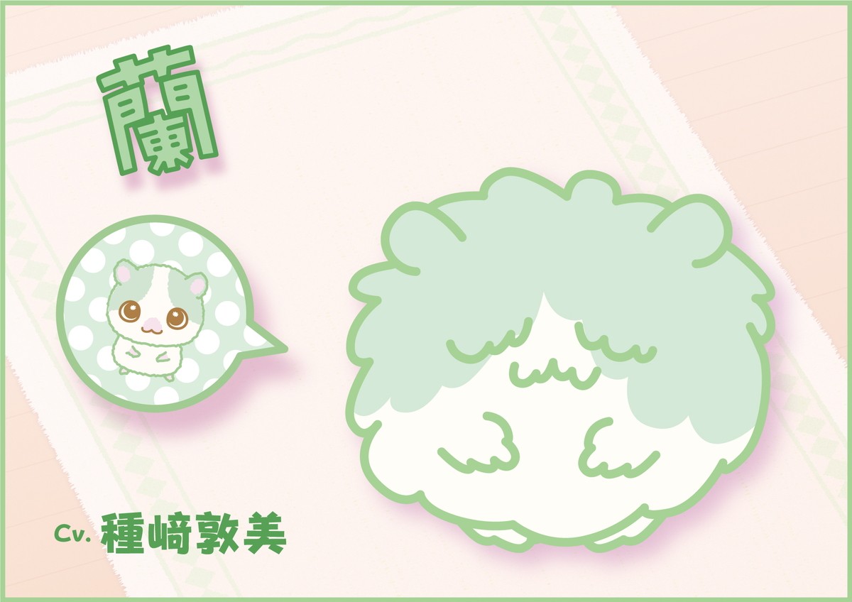 ヒコロヒー＆種崎敦美、サンリオ新アニメ『ぼさにまる』出演決定　ぼさねこ＆ぼさはむすたー役に