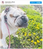 【写真】北斗晶、愛犬の“奇跡の瞬間”とらえたショット「かわいい」「たまらない表情」