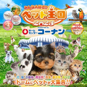 京セラドーム大阪で“ペットイベント”開催へ！　ねこカフェや爬虫類展などコンテンツが満載