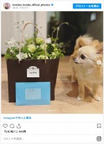 本田朋子アナ、夫・五十嵐圭選手へ“誕生日サプライズ” ※「本田朋子」インスタグラム