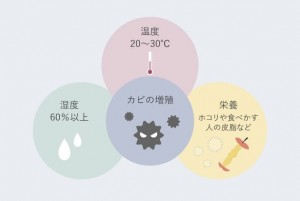 230602_エアコンのカビについて実態調査