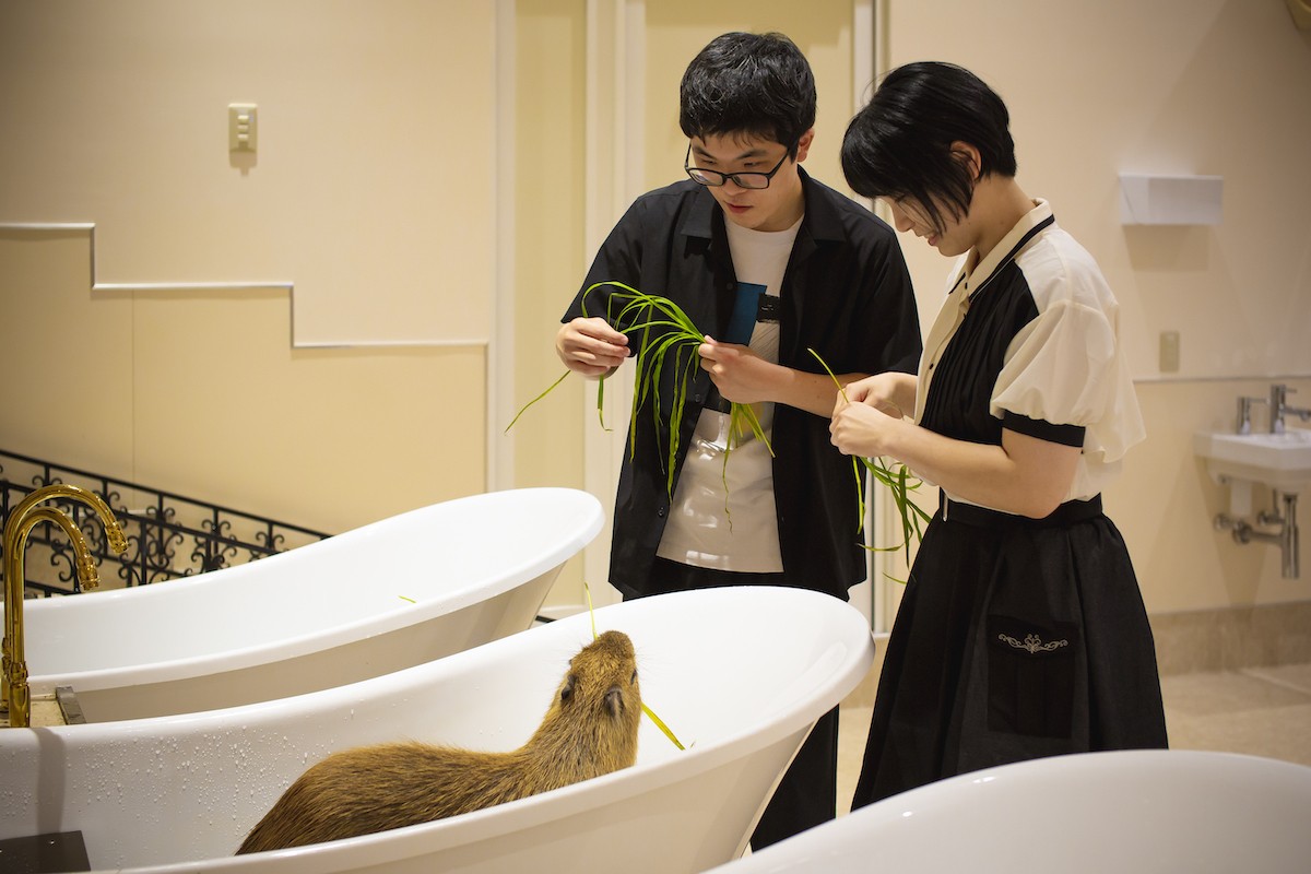 2023.6.28屋内型ふれあい動物園「アニタッチ」