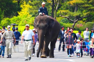 20230616「フェニックス・シーガイア・リゾートスタッフがおすすめする宮崎の観光スポット」