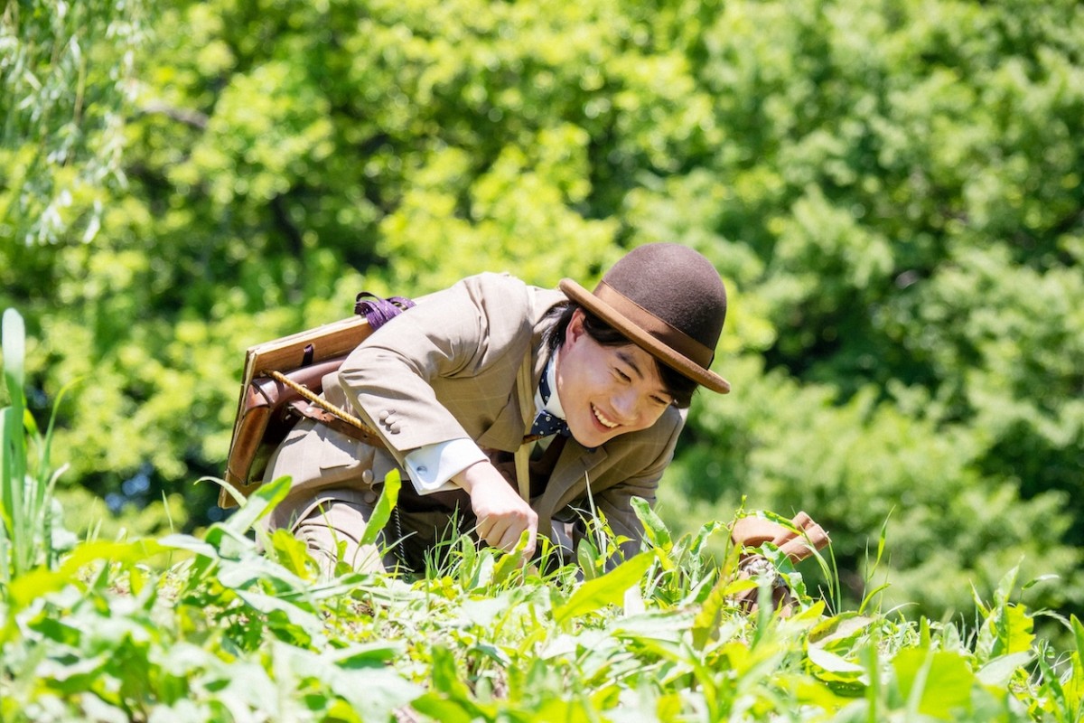 明日の『らんまん』“万太郎”神木隆之介、池で不思議な水生植物を見つける