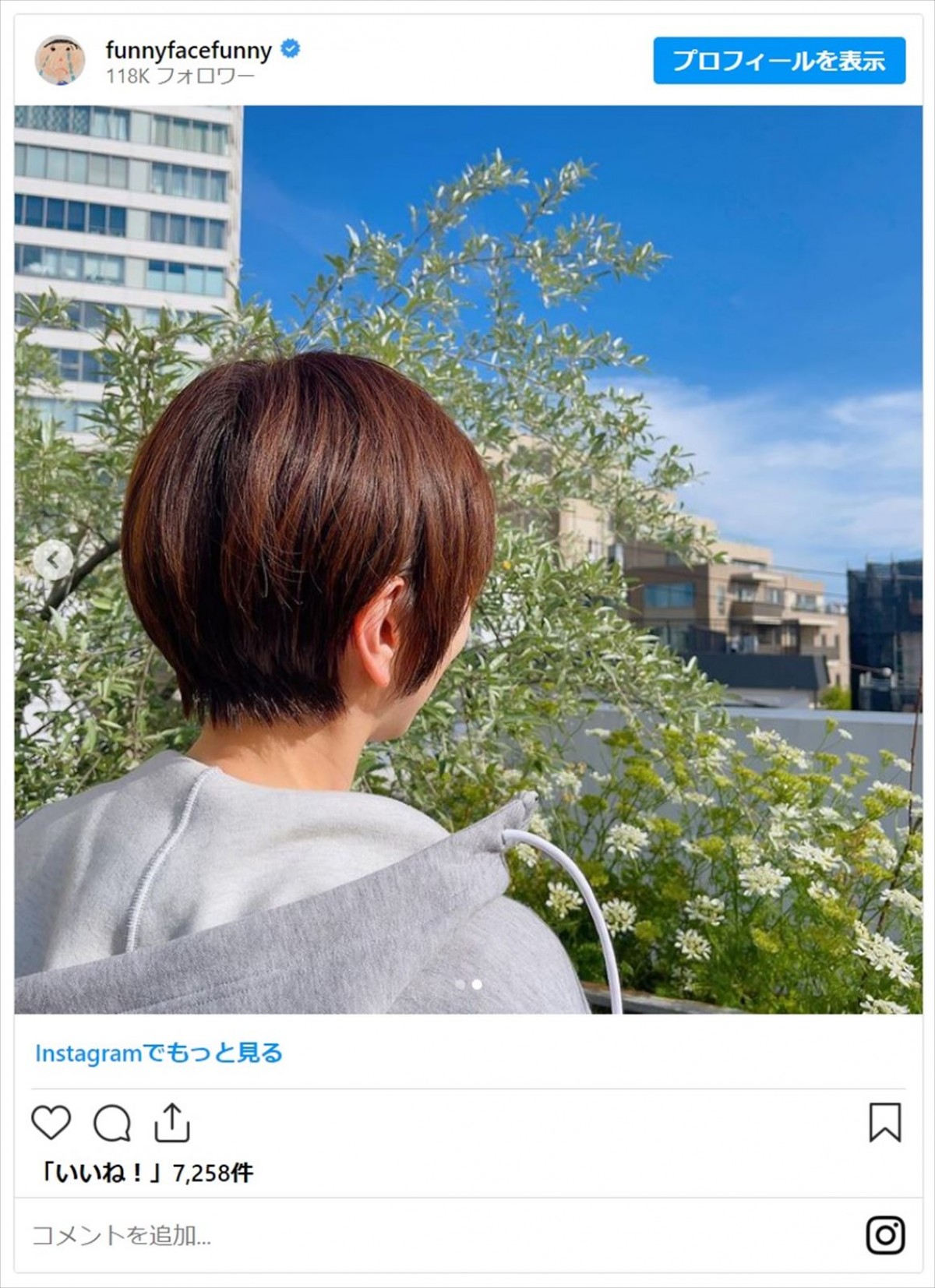 鷲見玲奈に秋元真夏も！　髪バッサリで激的イメチェンの美女たち