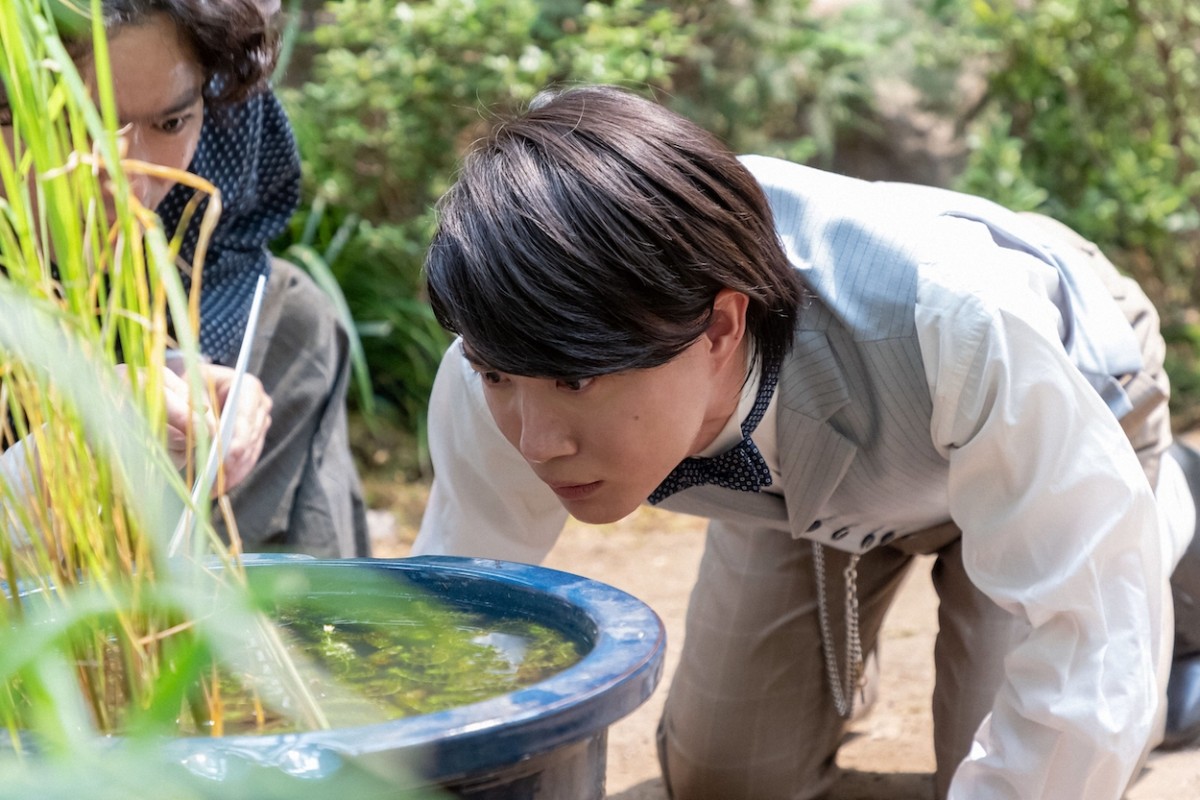 明日の『らんまん』“万太郎”神木隆之介、“田邊”要潤からムジナモの論文と植物図作成を指示される
