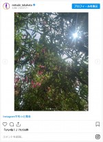 高畑充希、滞在中のスペインでの写真や動画を多数公開　※「高畑充希」インスタグラム