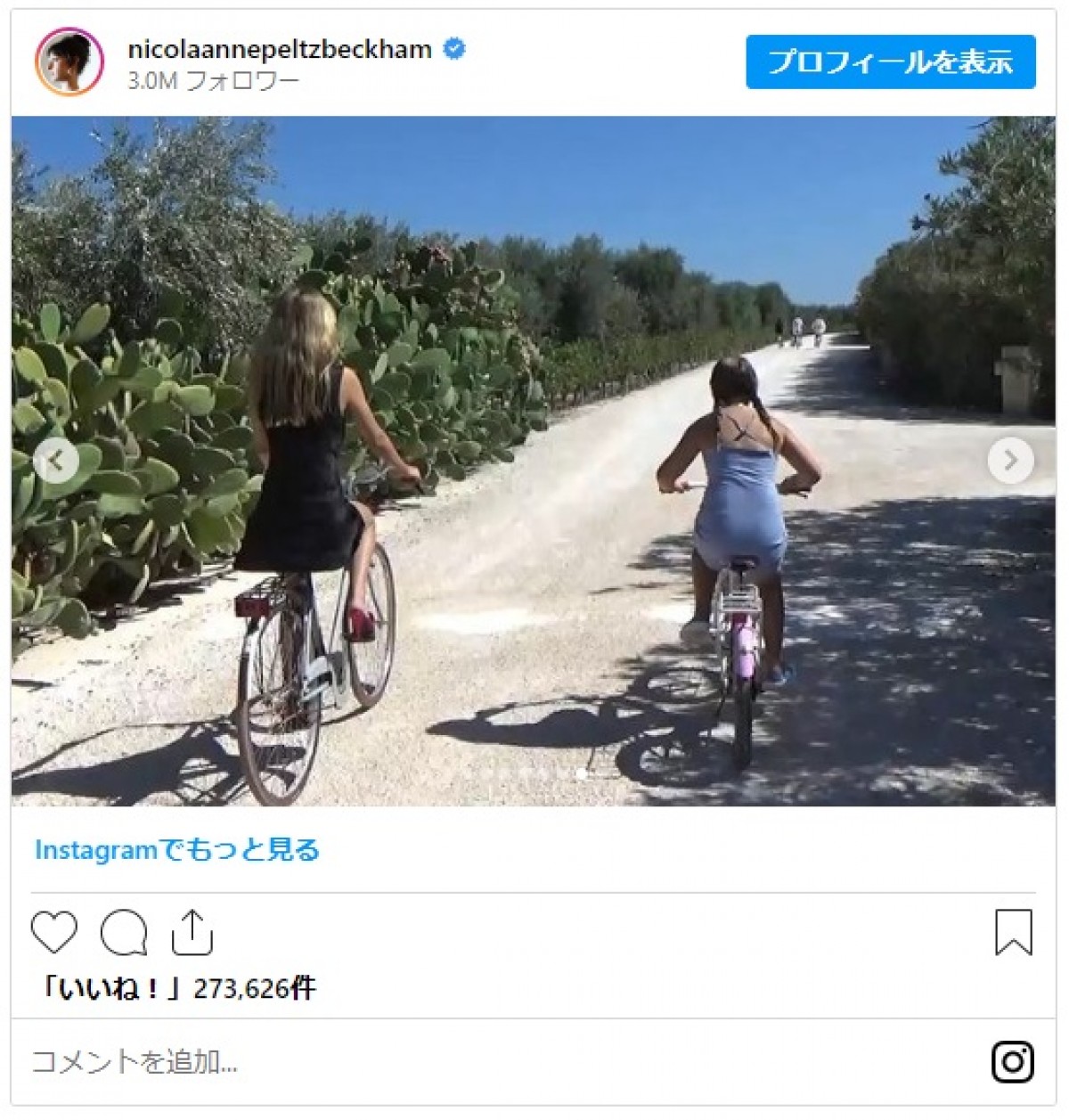 ベッカム夫妻の愛娘ハーパーちゃん12歳、義姉ニコラ・ペルツとお揃いでタトゥー