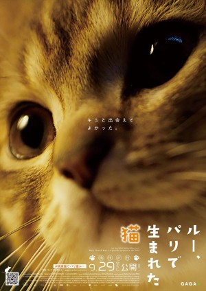 【写真】裏も表もかわいすぎる！　映画『ルー、パリで生まれた猫』猫チラシ