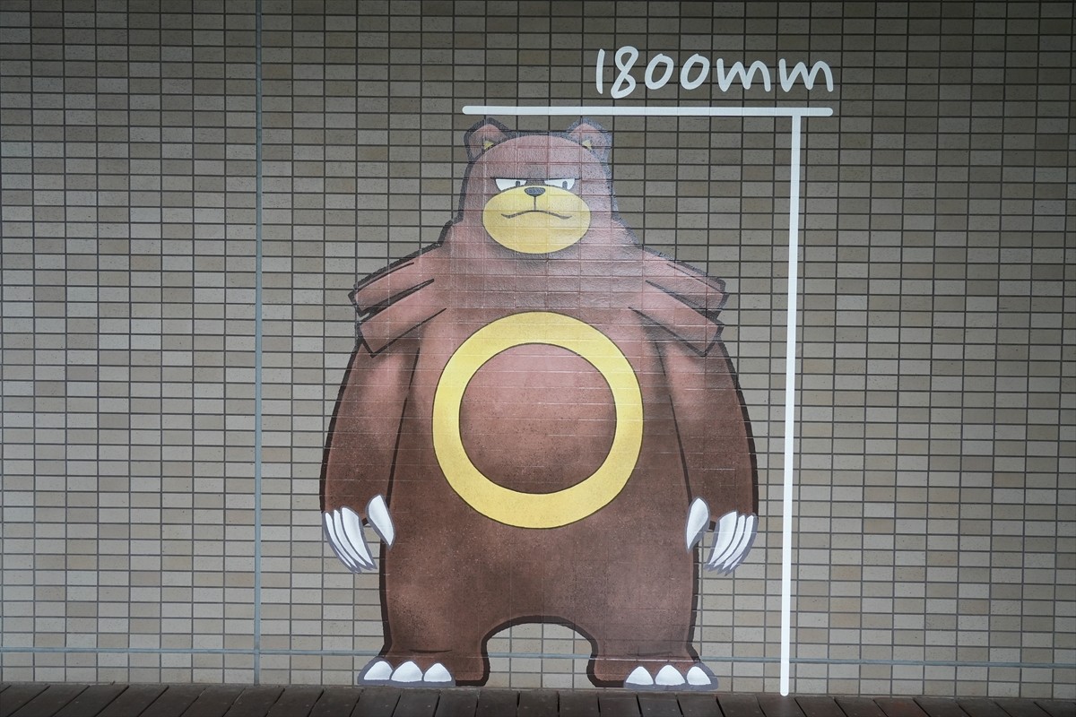 20230808_「ポケモンワールドチャンピオンシップス2023横浜みなとみらいイベント」