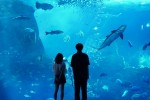 ドラマ『真夏のシンデレラ』より